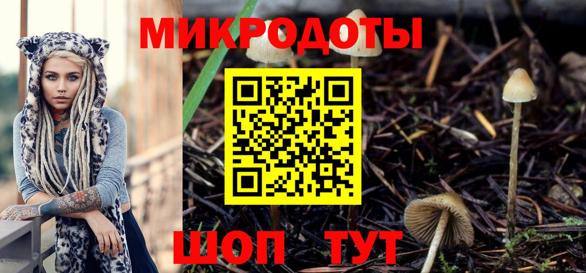 Южноуральск  даркнет сайт  Галлюциногенные грибы мухоморы  Вход с VPN  Галлюциногенные грибы прущие грибы 