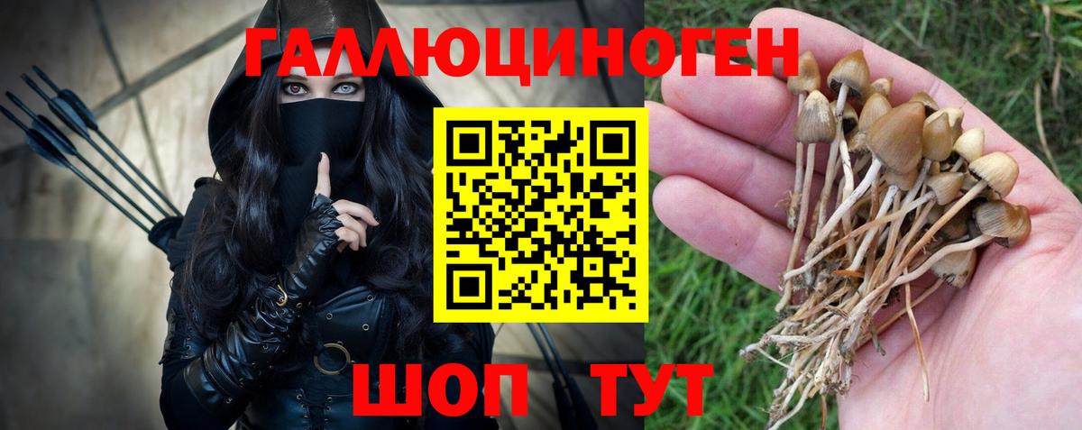 Галлюциногенные грибы GOLDEN TEACHER Южноуральск